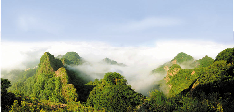 拉法山国家森林公园