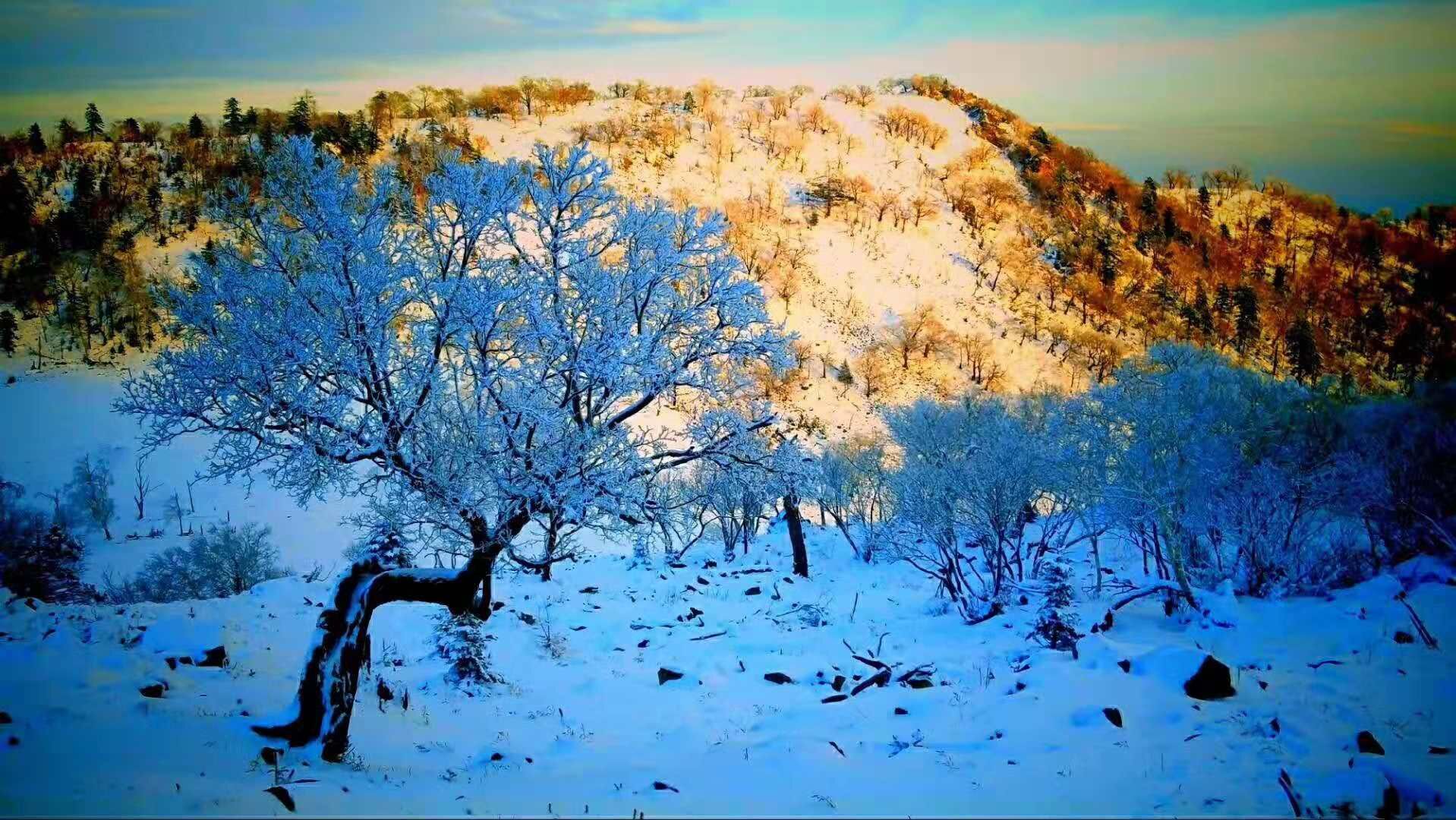 “玩冰嬉雪过大年”